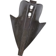 Redlica ścierniskowa Donax