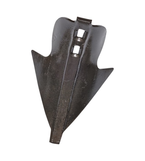 Redlica ścierniskowa Donax