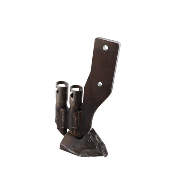 Dziób redlicy siewnej