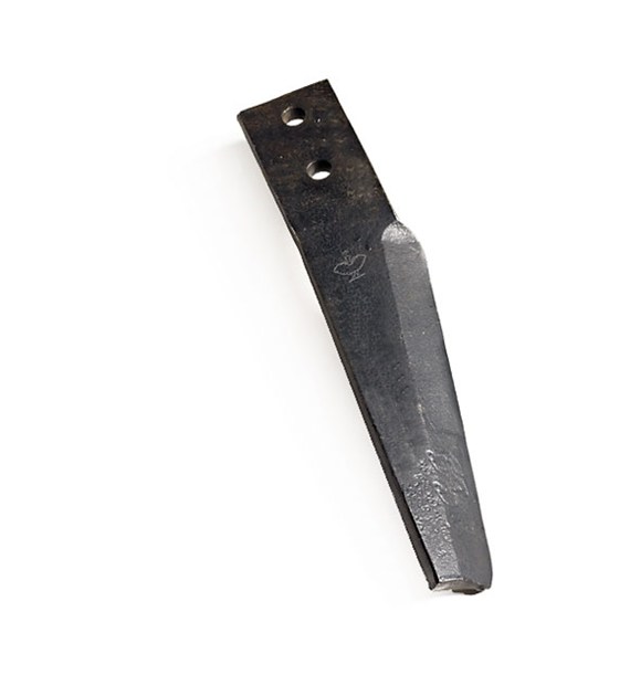 Zą brony aktywnej  prawy